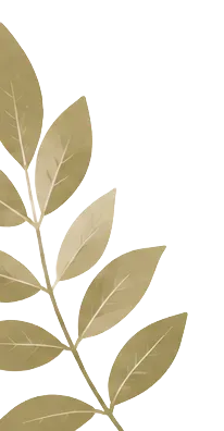 Decorative leaves